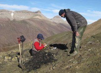 Research shows erosion of ozone layer responsible for mass extinction event Research shows erosion of ozone layer responsible for mass extinction event