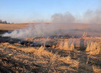 Study: Crop residue decisions affect soil life Study: Crop residue decisions affect soil life