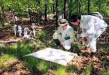 Study: National tick surveillance survey identifies gaps to be filled Study: National tick surveillance survey identifies gaps to be filled