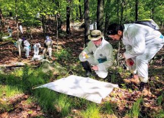 Study: National tick surveillance survey identifies gaps to be filled Study: National tick surveillance survey identifies gaps to be filled