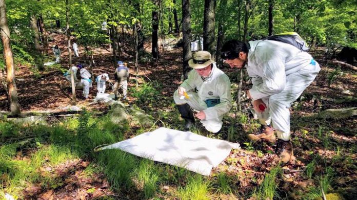 Study: National tick surveillance survey identifies gaps to be filled