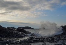 Study: Ocean uptake of CO2 could drop as carbon emissions are cut Study: Ocean uptake of CO2 could drop as carbon emissions are cut