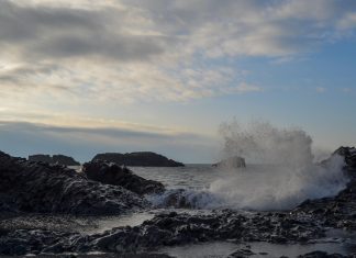 Study: Ocean uptake of CO2 could drop as carbon emissions are cut Study: Ocean uptake of CO2 could drop as carbon emissions are cut