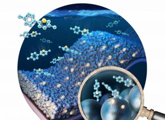 Study: Preventing lithium loss for high-capacity lithium-ion batteries Study: Preventing lithium loss for high-capacity lithium-ion batteries