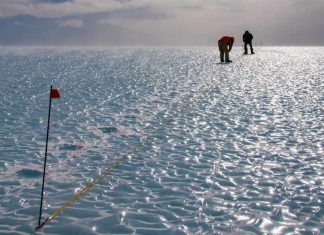 Study: Seasonal sea ice changes hold clues to controlling CO2 levels, ancient ice shows Study: Seasonal sea ice changes hold clues to controlling CO2 levels, ancient ice shows