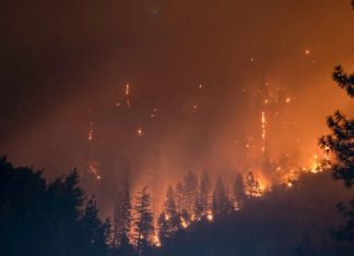 Study: Self-powered alarm fights forest fires, monitors environment Study: Self-powered alarm fights forest fires, monitors environment