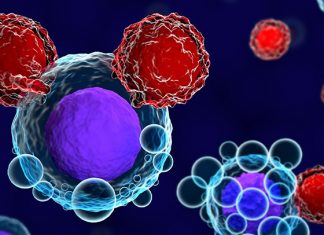 Study: Team led by Children’s Hospital LA researcher generates developmental map of human T-cells Study: Team led by Children's Hospital LA researcher generates developmental map of human T-cells