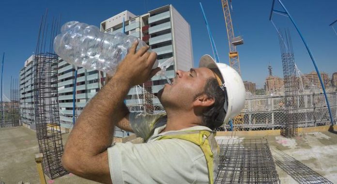 Study: Working in the sun -- heating of the head may markedly affect safety and performance