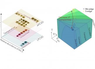 Mapping crystal shapes could fast-track 2D materials, says new research Mapping crystal shapes could fast-track 2D materials, says new research
