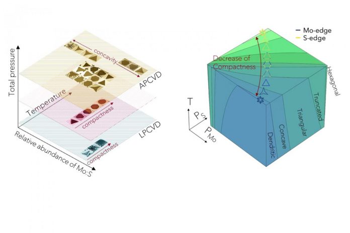 Mapping crystal shapes could fast-track 2D materials, says new research