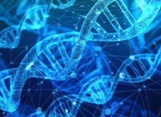 Scientists design artificial genes to sense cellular responses to drugs