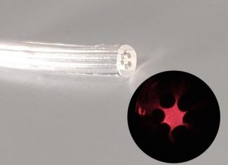Scientists develop an optical fiber made of gel derived from marine algae Scientists develop an optical fiber made of gel derived from marine algae