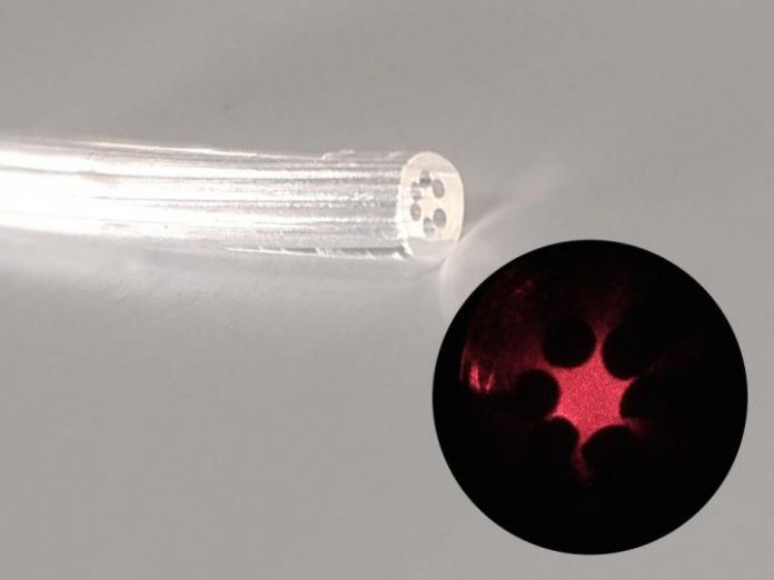 Scientists develop an optical fiber made of gel derived from marine algae