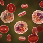 Study Age-related impairments reversed in animal model