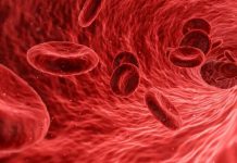 Study: Dangerous parasite controls host cell to spread around body Study: Dangerous parasite controls host cell to spread around body