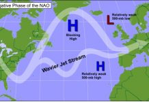 Study: Decadal predictability of North Atlantic blocking and the NAO Study: Decadal predictability of North Atlantic blocking and the NAO