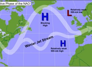 Study: Decadal predictability of North Atlantic blocking and the NAO Study: Decadal predictability of North Atlantic blocking and the NAO
