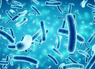 Study: Driving bacteria to produce potential antibiotic, antiparasitic compounds