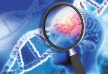 Study: Genes, cardiovascular health each factor into dementia risk Study: Genes, cardiovascular health each factor into dementia risk