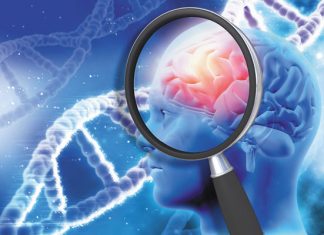 Study: Genes, cardiovascular health each factor into dementia risk Study: Genes, cardiovascular health each factor into dementia risk