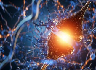 Study: “Love hormone” oxytocin could be used to treat cognitive disorders like Alzheimer’s Study: "Love hormone" oxytocin could be used to treat cognitive disorders like Alzheimer's