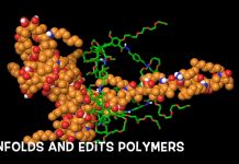 Study: ‘Nanocage’ tool untangles (molecular) spaghetti Study: 'Nanocage' tool untangles (molecular) spaghetti