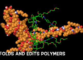 Study: ‘Nanocage’ tool untangles (molecular) spaghetti Study: 'Nanocage' tool untangles (molecular) spaghetti