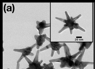 Study: Silver-plated gold nanostars detect early cancer biomarkers