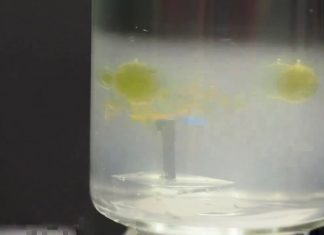 Study: Wireless aquatic robot could clean water and transport cells
