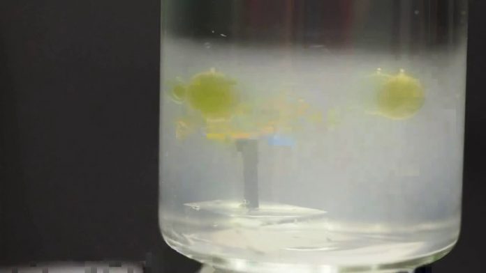 Study: Wireless aquatic robot could clean water and transport cells