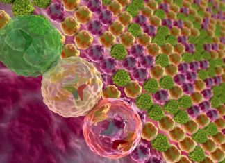 Study: Interpreting the human genome’s instruction manual Study: Interpreting the human genome's instruction manual