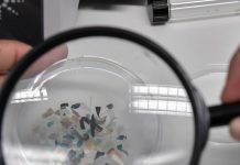 Study: Micro- and nanoplastics detectable in human tissues Study: Micro- and nanoplastics detectable in human tissues
