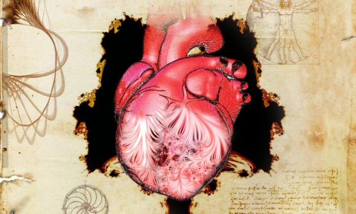 Study: New clues to a 500-year old mystery about the human heart