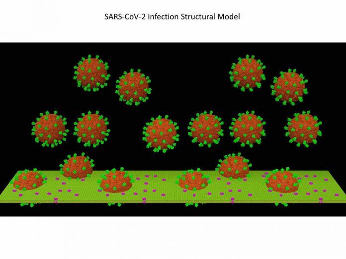 Study- Re-engineering antibodies for COVID-19 Study: Re-engineering antibodies for COVID-19