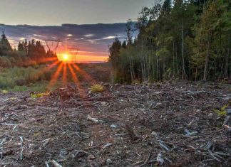 More than 90 percent of protected areas are disconnected More than 90 percent of protected areas are disconnected