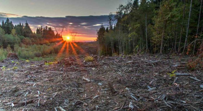 More than 90 percent of protected areas are disconnected