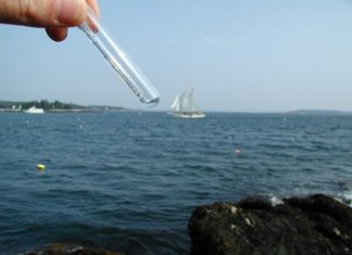 New Study: Choanozoan and picozoan marine protists are probably virus eaters New Study: Choanozoan and picozoan marine protists are probably virus eaters