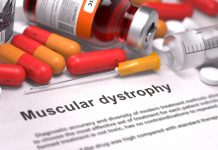 Researchers uncover a novel approach to treating Duchenne muscular dystrophy Researchers uncover a novel approach to treating Duchenne muscular dystrophy