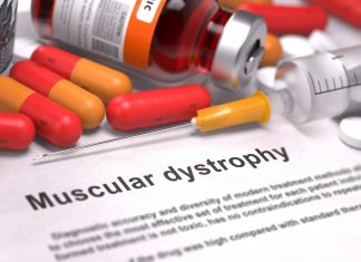 Researchers uncover a novel approach to treating Duchenne muscular dystrophy Researchers uncover a novel approach to treating Duchenne muscular dystrophy