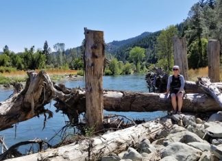 Scientists highlight the impacts of logjams in river restoration projects Scientists highlight the impacts of logjams in river restoration projects