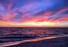 Scientists track nutrient transport in the Gulf of Mexico Scientists track nutrient transport in the Gulf of Mexico
