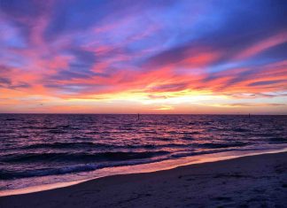 Scientists track nutrient transport in the Gulf of Mexico Scientists track nutrient transport in the Gulf of Mexico
