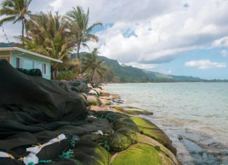 Study: 40% of O’ahu, Hawai’i beaches could be lost by mid-century Study: 40% of O'ahu, Hawai'i beaches could be lost by mid-century