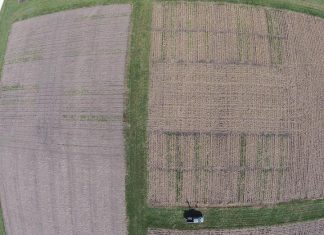 Study: Choosing the right cover crop to protect the soil Study: Choosing the right cover crop to protect the soil