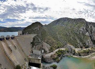 Study: Dams exacerbate the consequences of climate change on river fish Study: Dams exacerbate the consequences of climate change on river fish