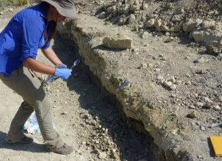 Study: Did our early ancestors boil their food in hot springs? Study: Did our early ancestors boil their food in hot springs?