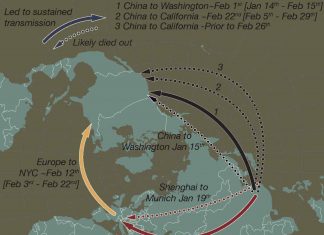 Study: How coronavirus took hold in North America and in Europe Study: How coronavirus took hold in North America and in Europe