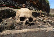 Study: Lactose tolerance spread throughout Europe in only a few thousand years Study: Lactose tolerance spread throughout Europe in only a few thousand years