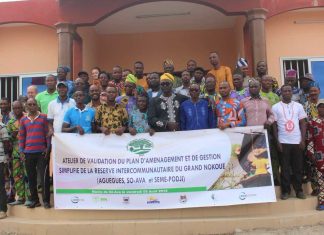 Study: Shift in West African wildmeat trade suggests erosion of cultural taboos Study: Shift in West African wildmeat trade suggests erosion of cultural taboos