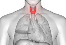 Study: Thyroid inflammation linked to anxiety disorders Study: Thyroid inflammation linked to anxiety disorders